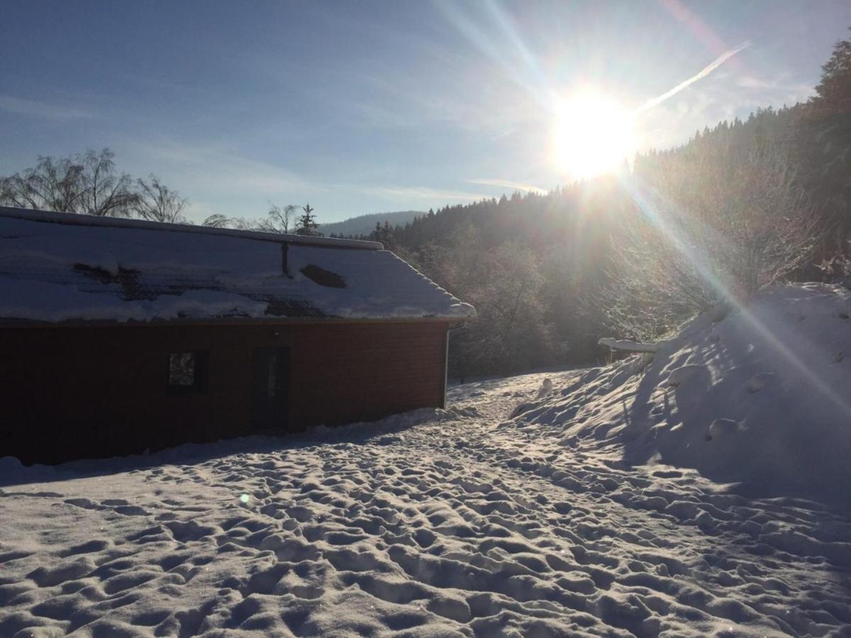 Chalet A L'Oree Du Bois Льо Толи Екстериор снимка